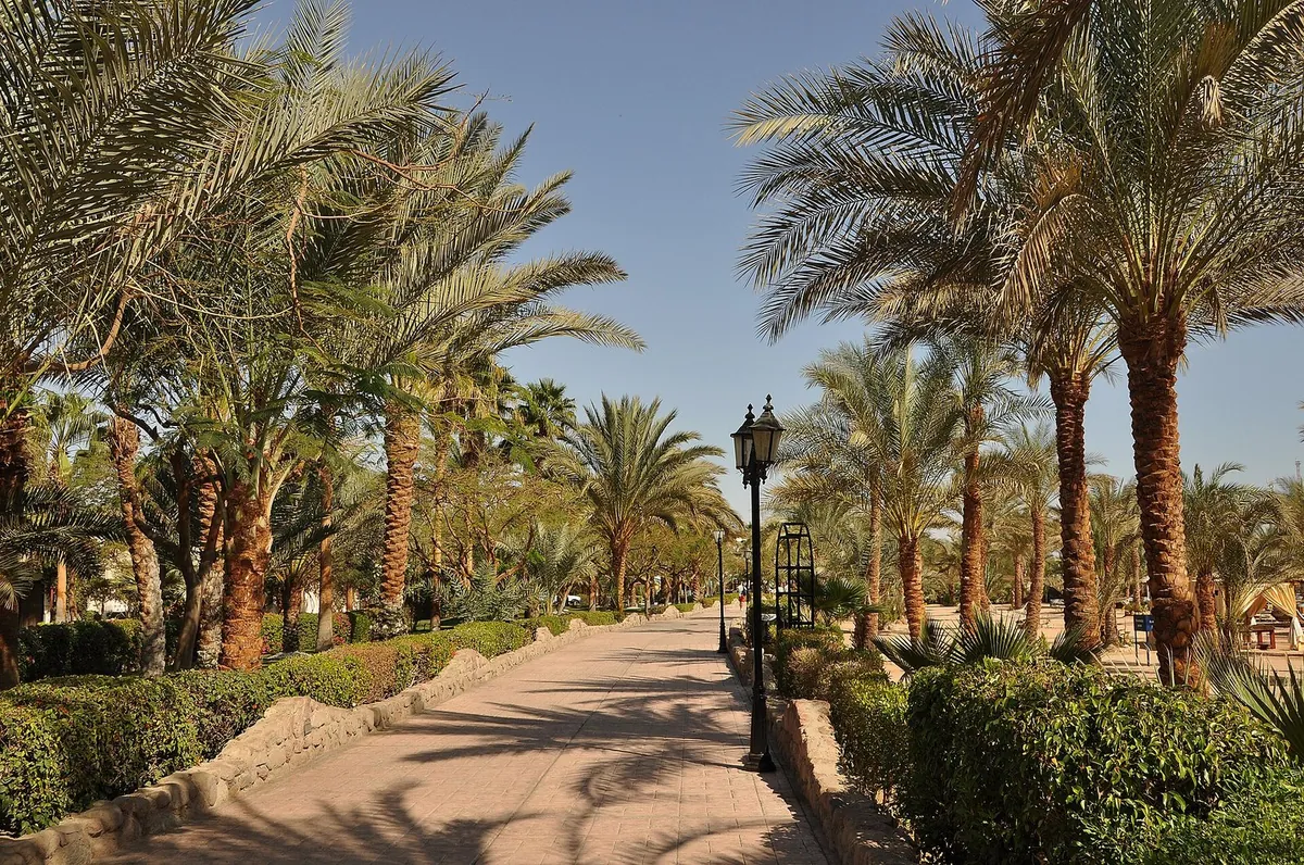Il viale pedonale di Naama Bay tra palme, siepi e lampioni in una giornata di sole