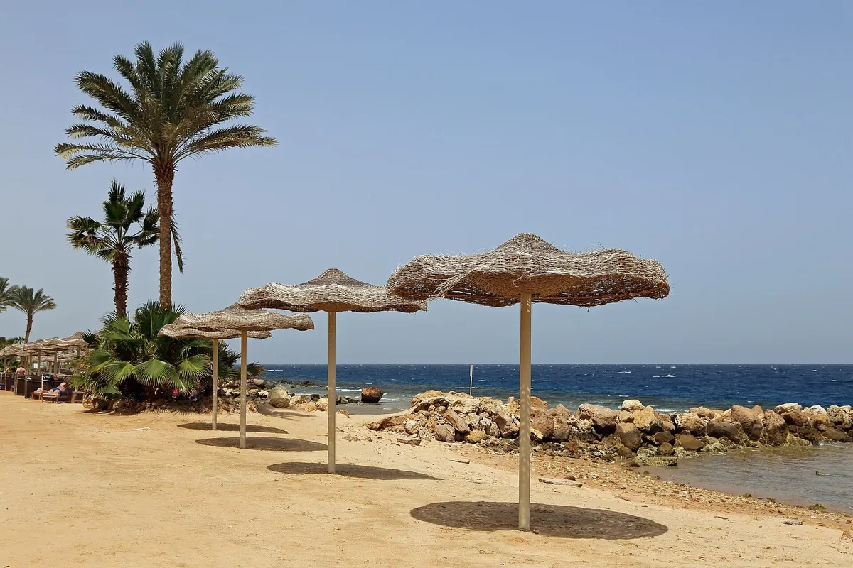 Ombrelloni di paglia e palme su una spiaggia della costa egiziana del Mar Rosso