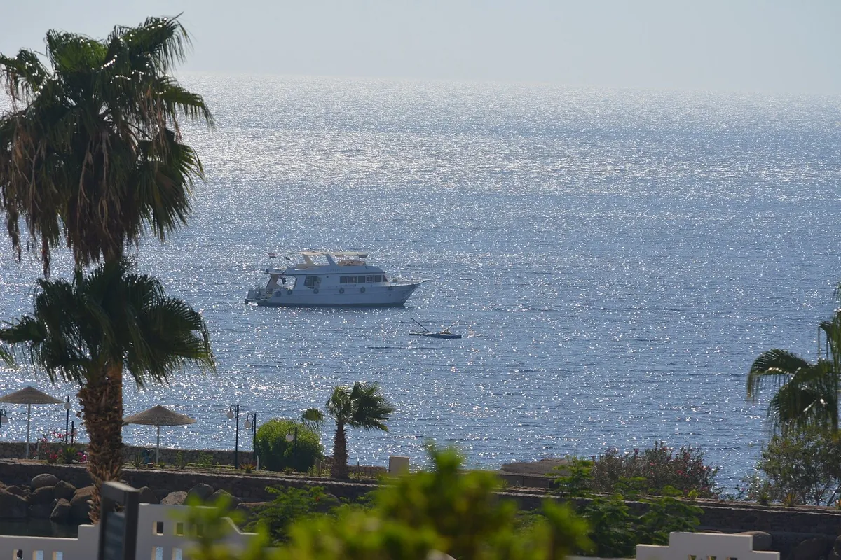 Il Mar Rosso a Sharm el Sheikh al mattino presto, con una barca in rada e palme in primo piano