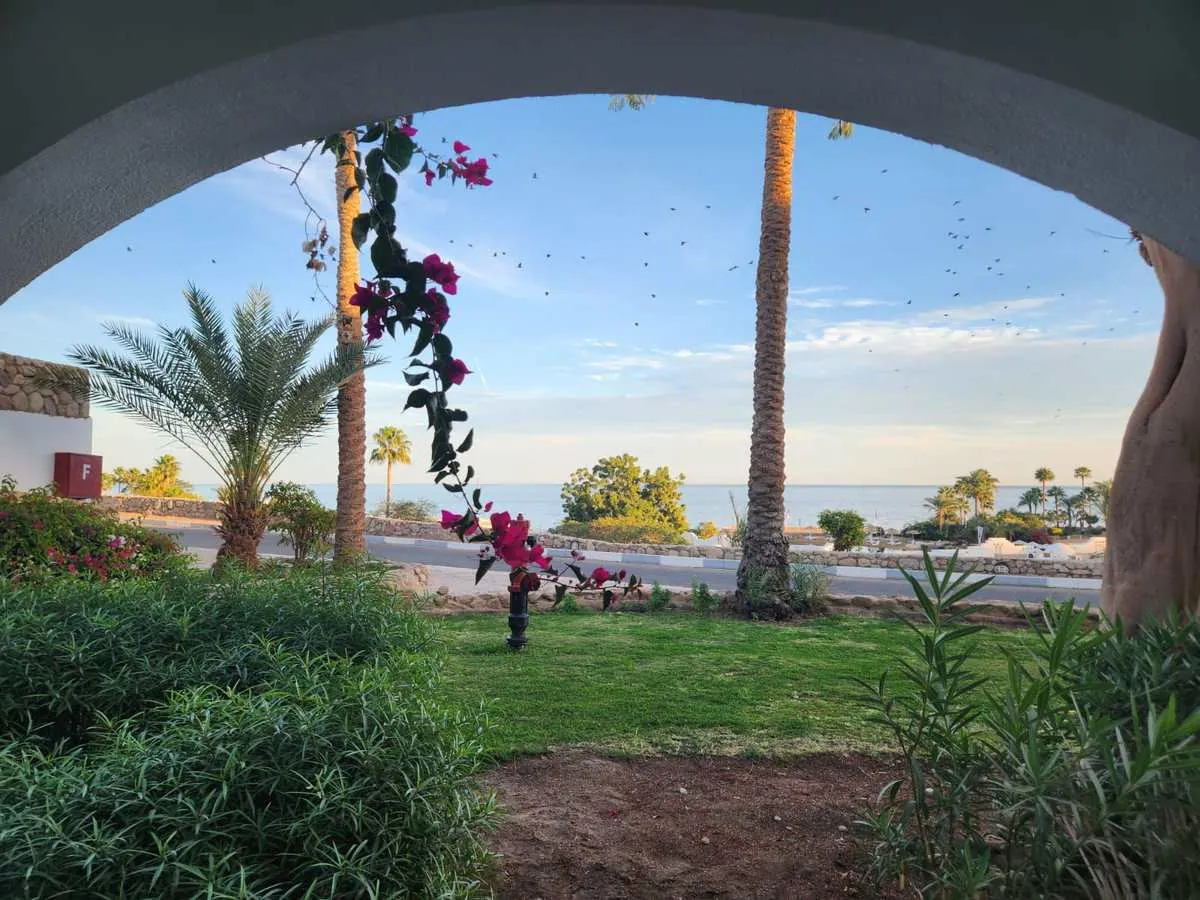 Il giardino del Coral Bay visto da sotto un arco, con il mare sullo sfondo