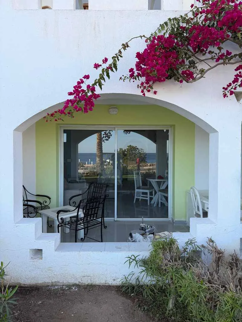 Terrazza con vetrate e bouganville fiorita